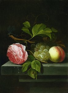 Een stilleven met een roos, druiven en perzik, 17e eeuw